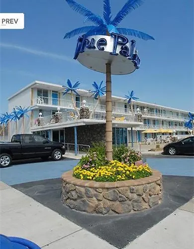 Blue Palms Resort
